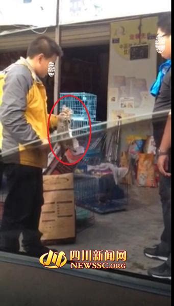 大学生虐杀小猫遭“人肉” 微博致歉求原谅(图)_新闻_腾讯网
