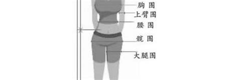 c罩杯胸围大概多少厘米 女人三围标准尺寸对照表 - 男尚圈