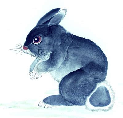 兔子是怎么排进十二生肖的? 生肖兔的传说-生肖兔-风水八字同城网