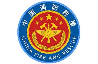 中国瑞林荣获2015年度省消防协会先进会员单位称号 - 中国瑞林工程技术股份有限公司