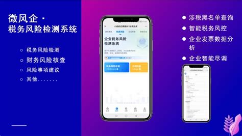 微风企税务风险检测系统，高效便捷智能，专为财税公司提供企业……_财富号_东方财富网