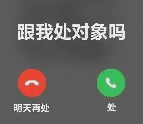 一对象表情包图片