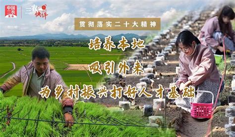 直播电商对三农转型的迫切需求 - 中国国际电子商务博览会（电商博览会）官方网站