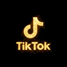 Adjust加入TikTok营销合作伙伴项目 帮助广告主优化TikTok推广活动_游戏狗