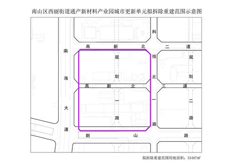 巨人稻 长势旺-深圳南山区西丽永久基本农田中，1人多高的巨人稻长势良好，亩产将达到1000公斤。_长势_巨人_西丽