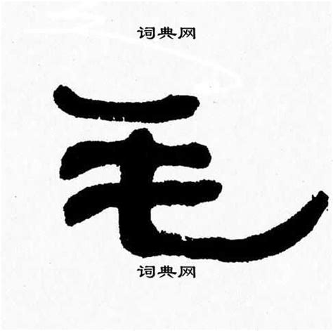 “毛” 的汉字解析 - 豆豆龙中文网