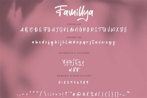 创意涂鸦英文手写字体素材合集 Famillya | Handwritten Font-变色鱼