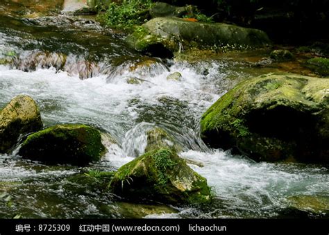 溪水与青苔高清图片下载-正版图片500672637-摄图网