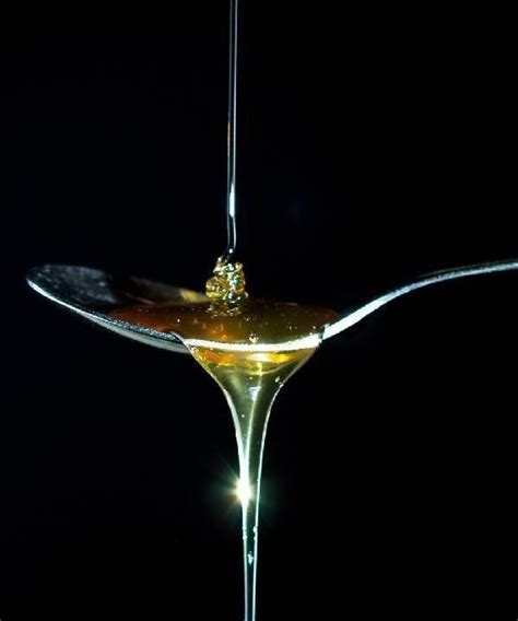 用蜂蜜洗头的正确方法，蜂蜜洗头发有什么好处？|毛囊|头发|营养成分_新浪新闻