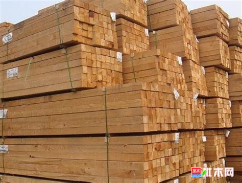 打造兰州进口木材加工新高地推动新区产业升级【批木网】 - 木业行业 - 批木网