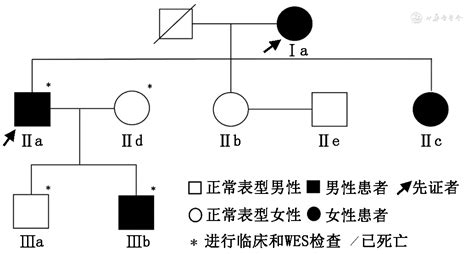 马方综合征一家系FBN1基因突变分析 - 中华医学杂志
