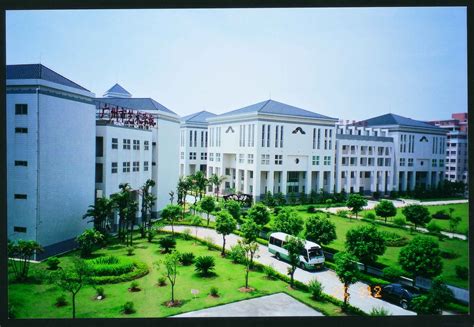 曹县国际学校