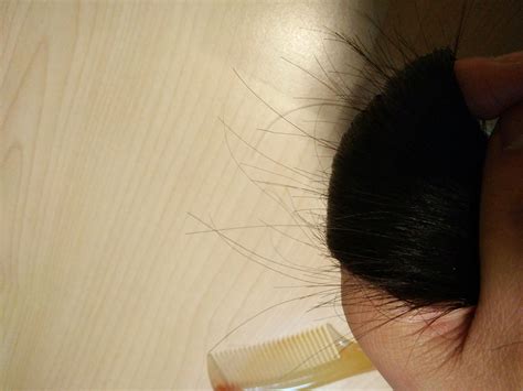 头发为什么会分叉，头发分叉有什么影响？|头发|头皮|营养_新浪新闻