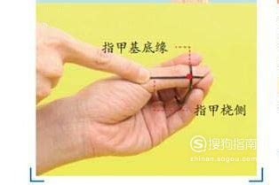 少商穴位图图片