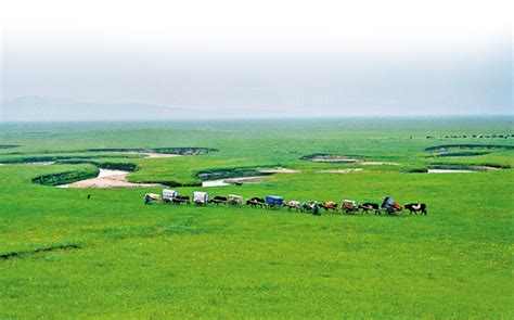 阿拉善盟发展和改革委员会 工作动态 自治区发展改革委印发《内蒙古自治区“十四五”铁路发展规划》