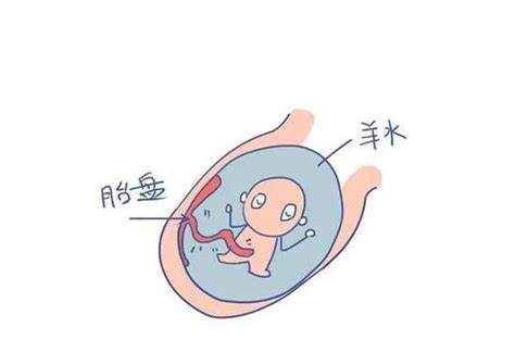 “试管宝宝”的预产期怎么计算？原来差别在这里-好孕天使(上海)健康管理