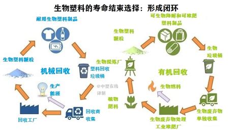 可降解和可回收塑料，哪种对环境更有利？-亚太国际塑料橡胶工业展览会