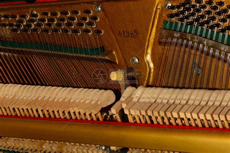 钢琴弦乐调音乐器的调音师高清图片下载-正版图片505193384-摄图网