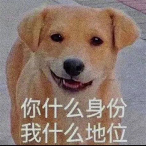 免礼表情包图片