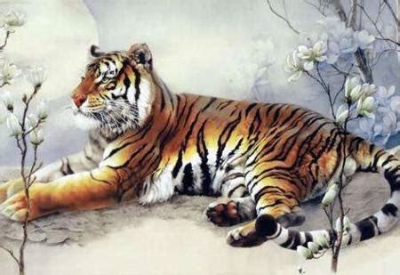 属虎的今年多大，不同年份属虎人年龄大全-属虎-国学梦