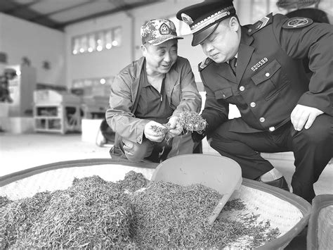 重庆铜梁区市场监管局采取多种措施培育“铜梁水南茶”品牌-中国质量新闻网