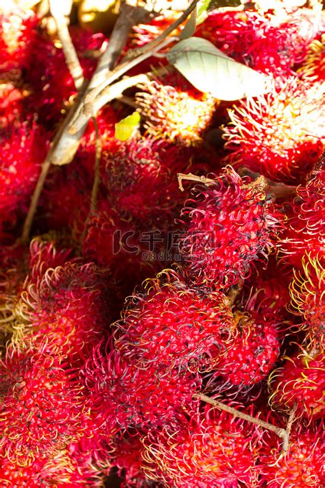 热带水果红毛丹高清摄影大图-千库网