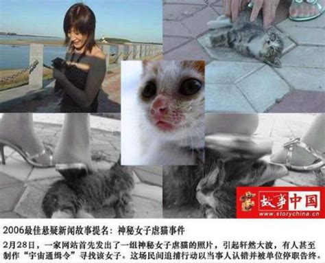 《当家主母》剧组虐猫事件造谣者被判刑7个月：当事猫被找到_凤凰网视频_凤凰网