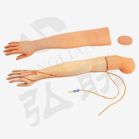 多功能静脉穿刺输液手臂模型 | 产品展示 静脉穿刺及皮内注射 ...