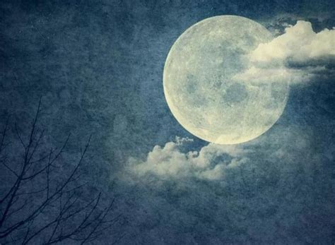 月亮表达思念优美句子 描写月亮和心情的句子-句子巴士