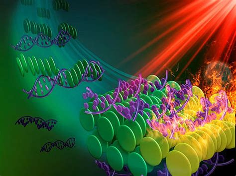 盘点：DNA纳米材料的生物学应用挑战和方向