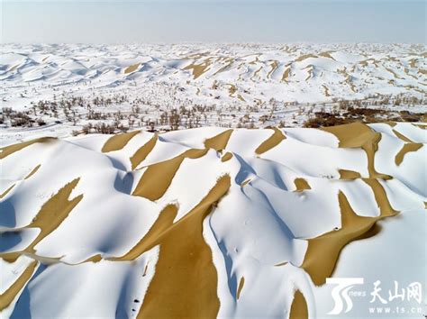 罕见连降大雪 沙特西部出现“冰雪沙漠”景观_凤凰网