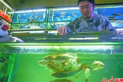 广州鱼缸批发市场祥龙品牌鱼缸 - 鱼缸 - 广州观赏鱼批发市场