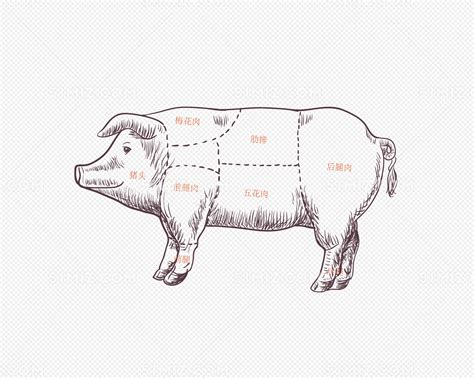 市场上的猪肉分几个等级？ - 惠农网