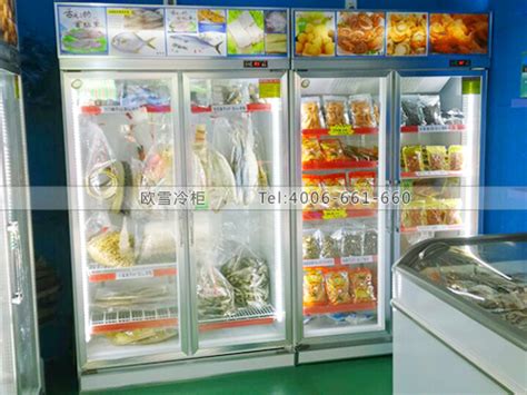 B523广州天河街坊海味专卖店海鲜卧式冷冻柜-广州海鲜冷冻展示柜-【欧雪冷柜】
