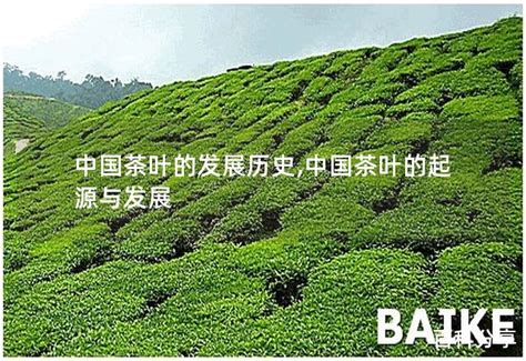 茶产业+旅游业，“茶旅”有哪些发展模式和业态？_茶文化