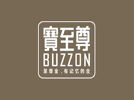 北京宝至尊珠宝有限公司_佐策品牌设计机构-站酷ZCOOL