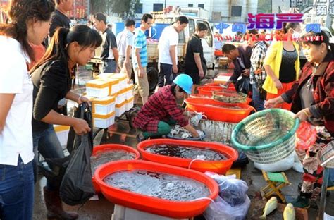 江苏连云港：伏季开渔 海鲜上市-人民图片网