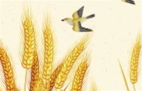 从《诗经》看周朝社会农业文明的发展程度 - 诗经 - 酷乐米