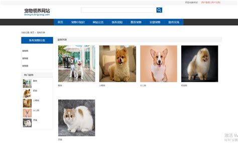 python+vue宠物用品商城网站django宠物领养系统31e70
