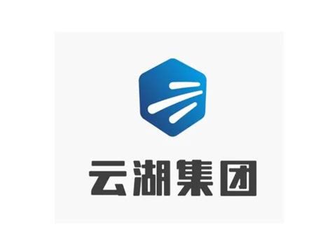 云湖集团LOGO设计出炉-设计揭晓-设计大赛网