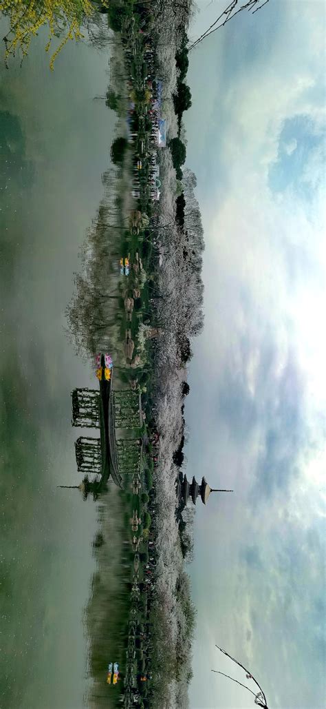全景山川河流树林风景图高清图片下载-正版图片500635069-摄图网