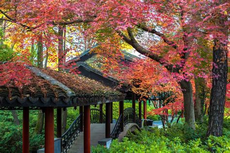 高清美图 | 北京东郊湿地公园的秋色之美_北京日报网