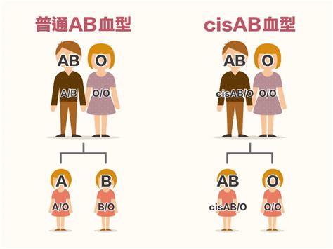 cisAB血型是什么意思？cisAB血型怎么鉴定_9万个为什么