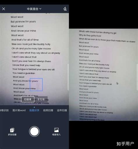 怎么把图片中的字翻译成中文？ - 知乎
