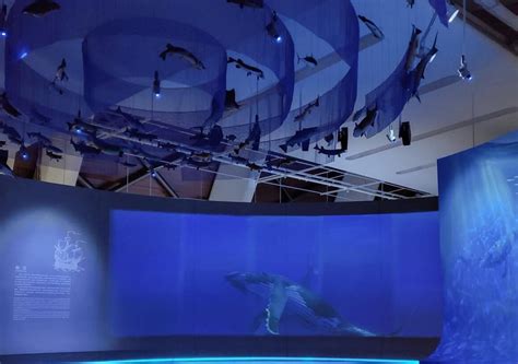 国家海洋博物馆预约网址- 天津本地宝