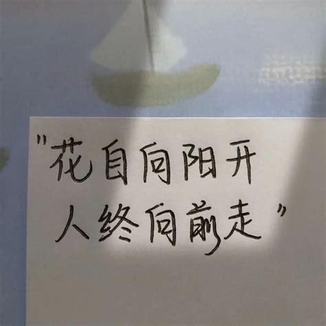释怀图片