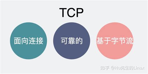 WebSocket和TCP的区别