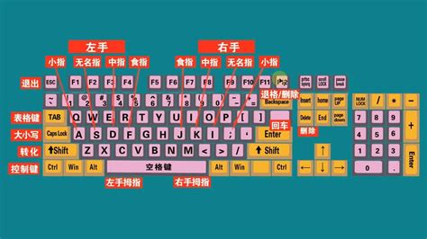 键盘打字指法图图片