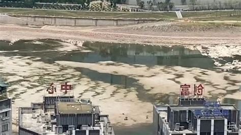 【透视社·生态监督】连续9天超40℃！重庆嘉陵江被晒干了？官方回应_透视社_中国小康网