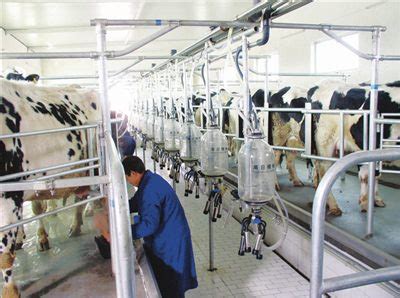 挤奶站管理-奶源建设-益膳房——专注牛奶膳食营养|益膳房乳业官网